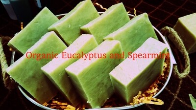 Organic Eucalyptus and Spearmint