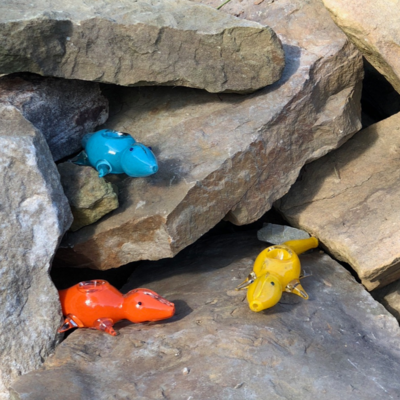 6&quot; Lizard Solid Color