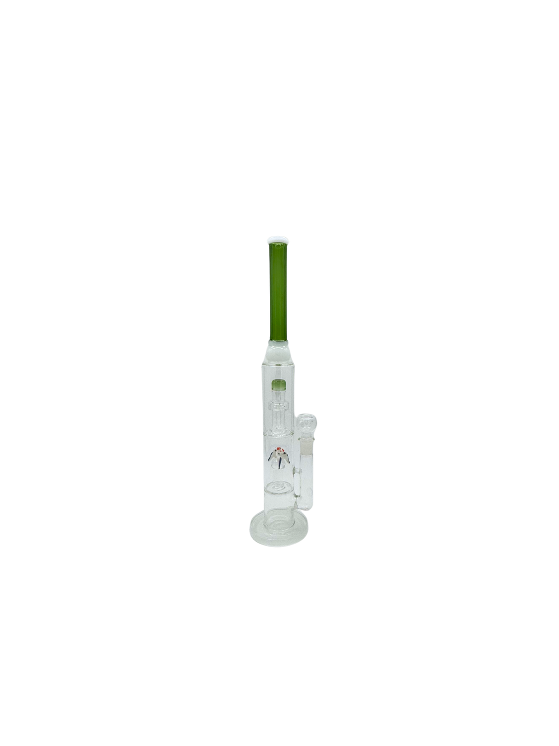 18" Straight Tube Parrot Perc