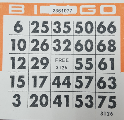 4x4 BINGO Cards (Pack of 250)