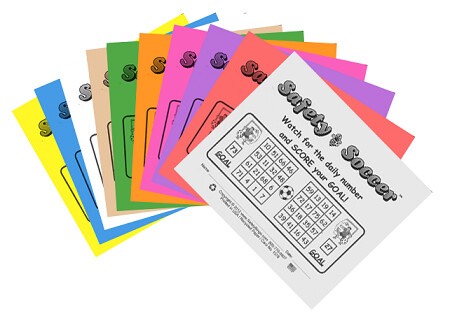 BW 3x4 SAFETY SOCCER Cards (Pack of 250)