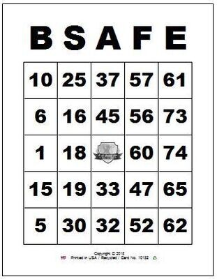 BW 4x5 SR Perrot Custom Bingo Card(s)