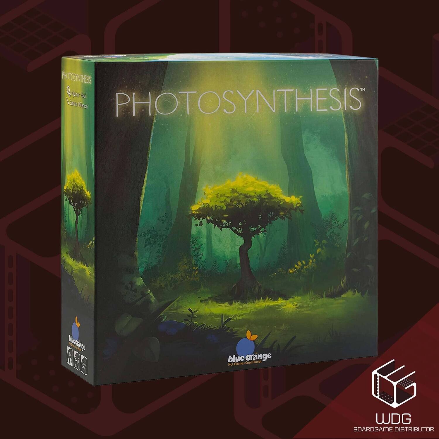 Photosynthesis