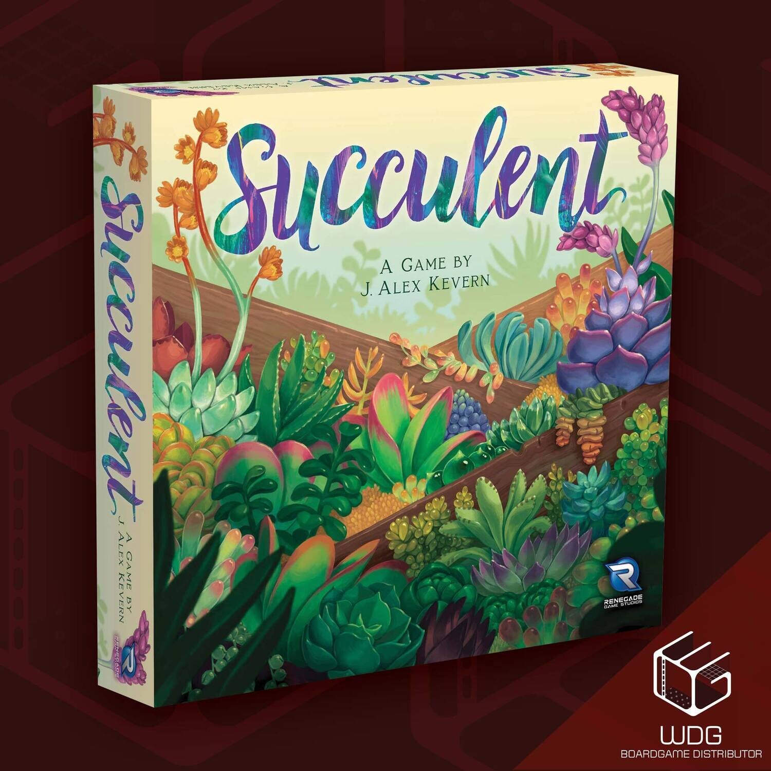 Succulent
