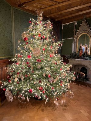 Weihnachtsbäume