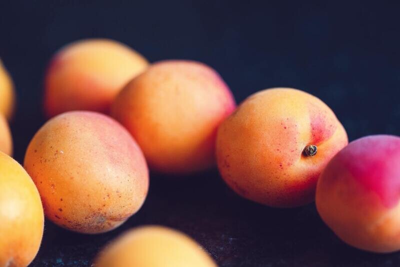 Panier Saison Fruits L