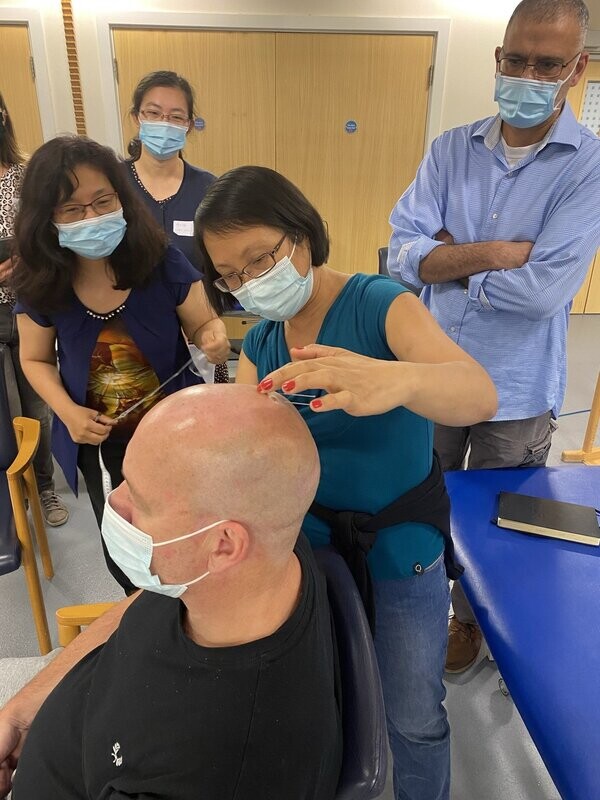 Real Patients Neuro-Acupuncture Workshop