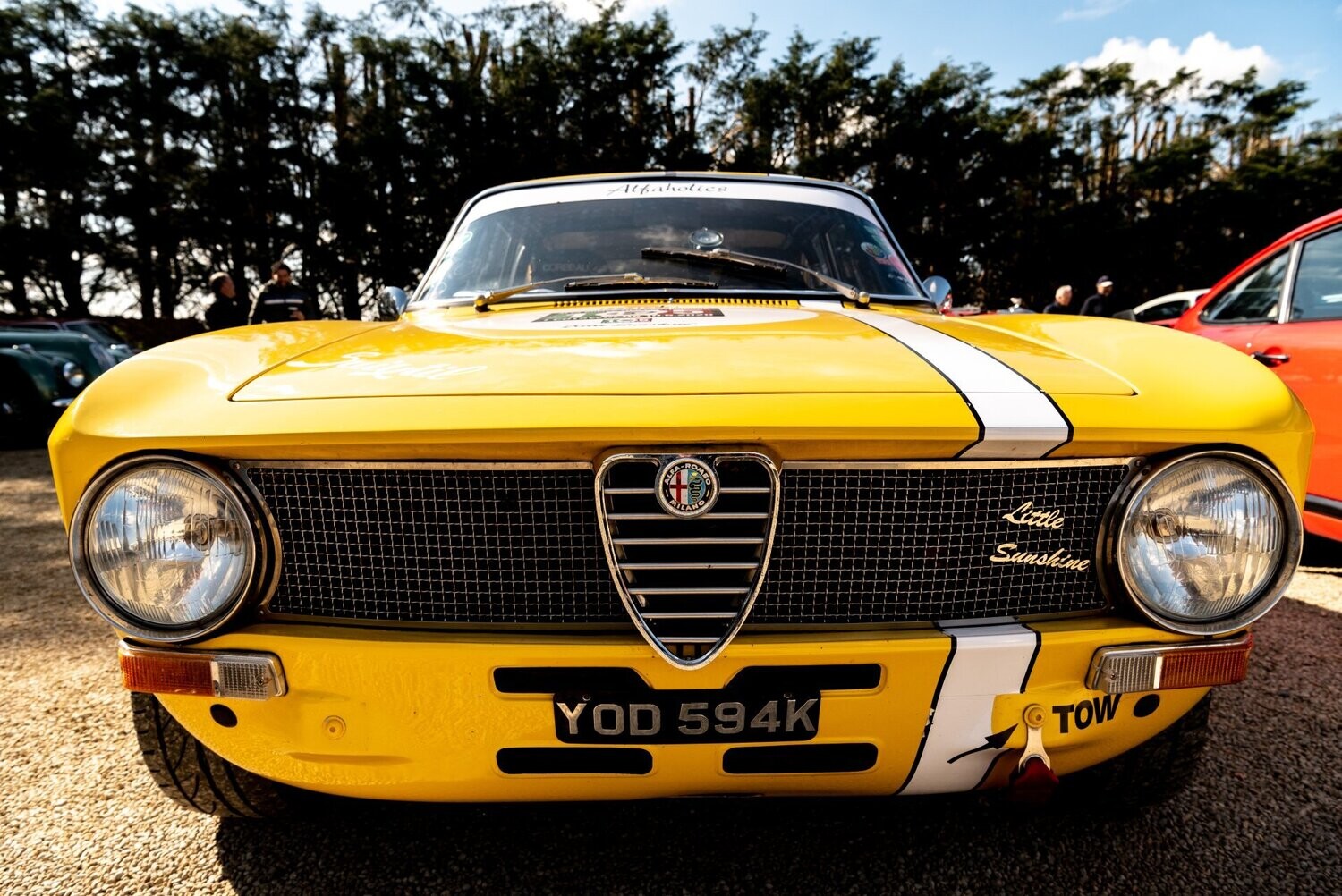 Std. Grille