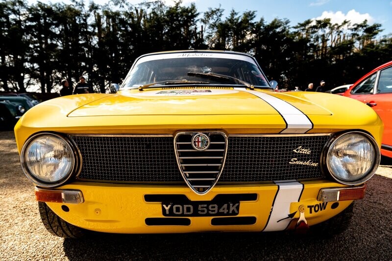 Std. Grille