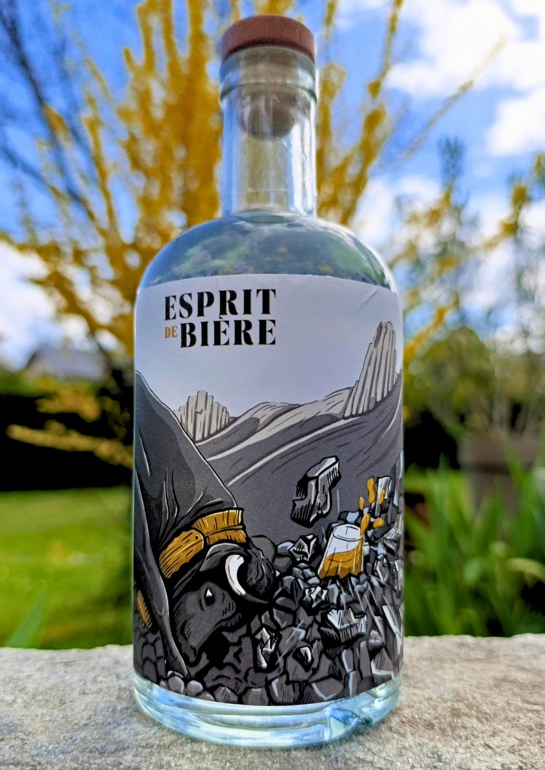 Esprit de bière - Stout - 50cl