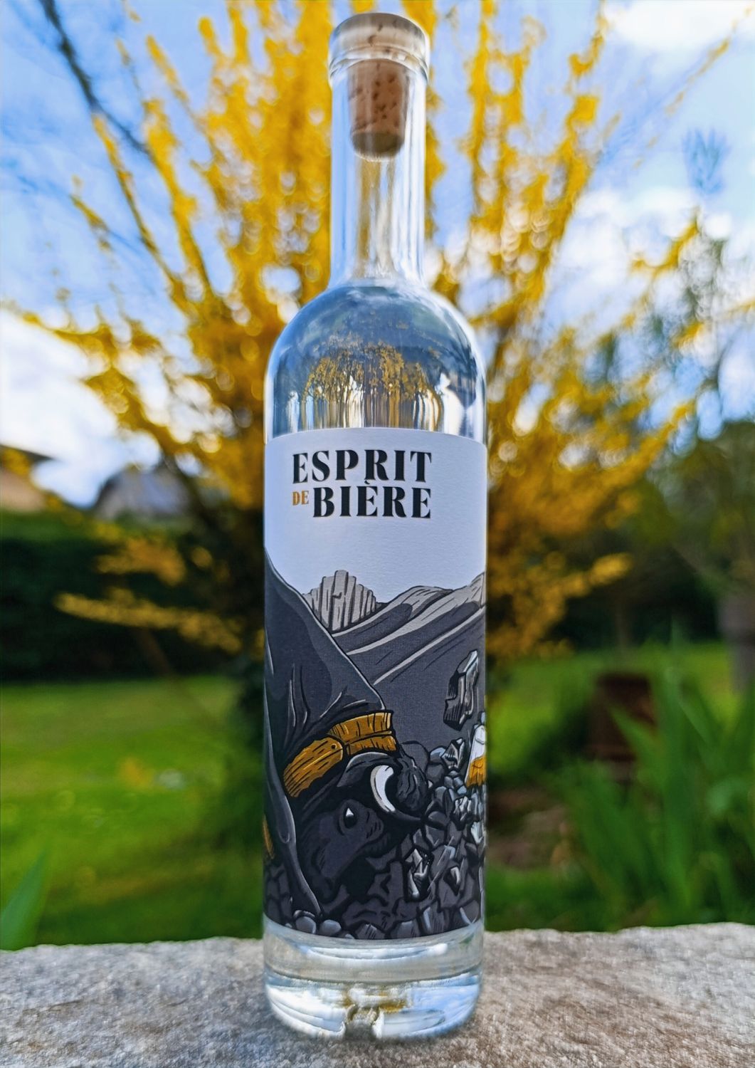 Esprit de bière - Stout - 20cl