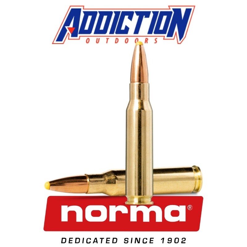Norma Plastic Point 308 Winchester 180gr qty 20