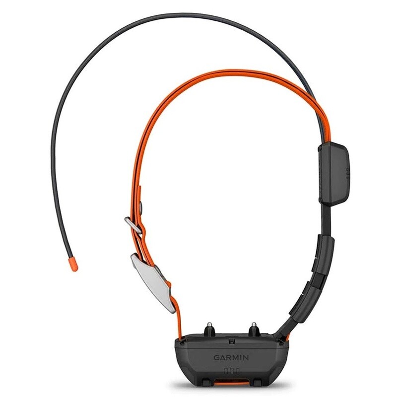 Garmin Alpha TT25Track and Train Collar