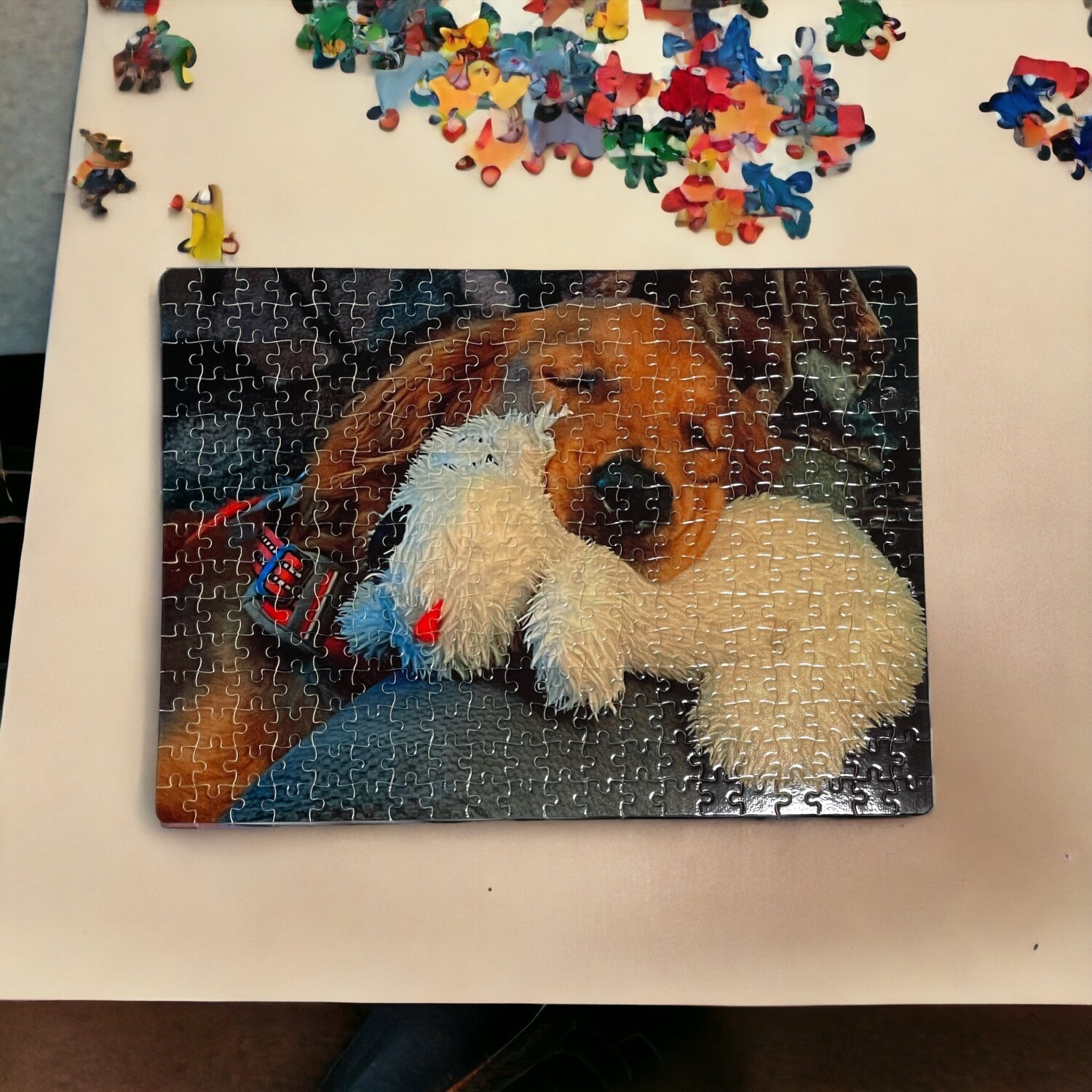 Personalized 300 Piece Puzzle with Tin, Your Picture Here Puzzle, Family Time Puzzle, Your Own Image Puzzle