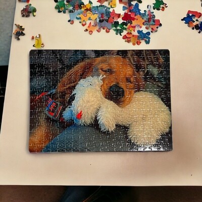 Personalized 300 Piece Puzzle with Tin, Your Picture Here Puzzle, Family Time Puzzle, Your Own Image Puzzle