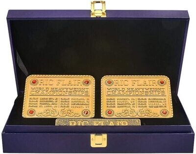 WWE RIC Flair WCW Replica X16Championship Title Belt Name Plate &amp; Side Plate With Display Case Prop Replica