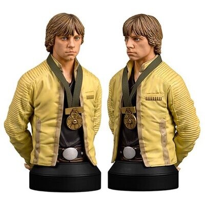 Star Wars A New Hope Luke Skywalker Hero of Yavin Limited Edition Bust