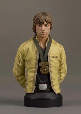 Buste STAR WARS Un Nouvel Espoir Luke Skywalker Hero of Yavin Édition Limitée