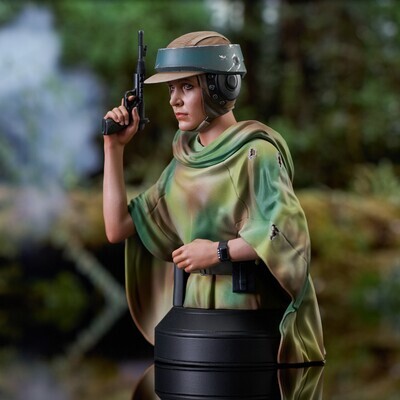 Star WarsReturn of the Jedi Leia Endor 1/6 Scale  Limited Edition Gentle Giant Website Exclusive Bust