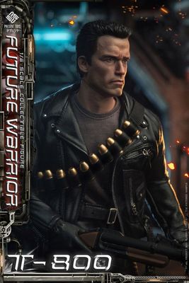 Terminator T800 Arnold Schwarzenegger PTSP39 Future Warrior 1/6 Scale Action Figure