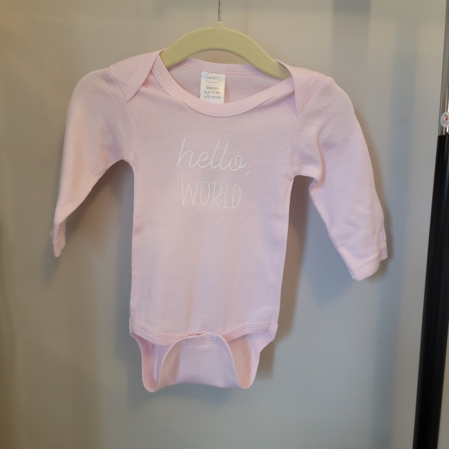 Hello, World / Long Sleeve  / Pink with White /
 NB