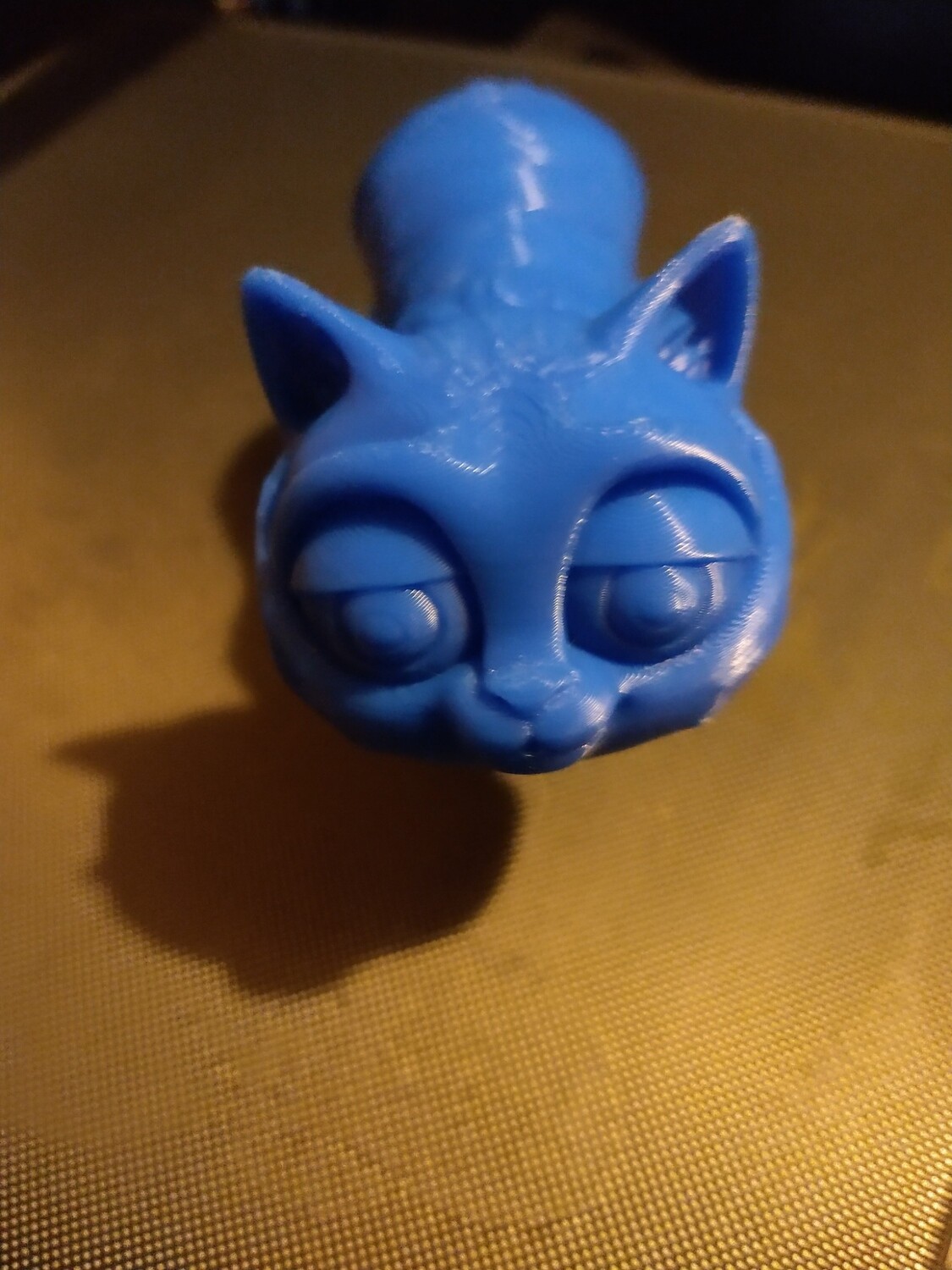 Flexi kitten