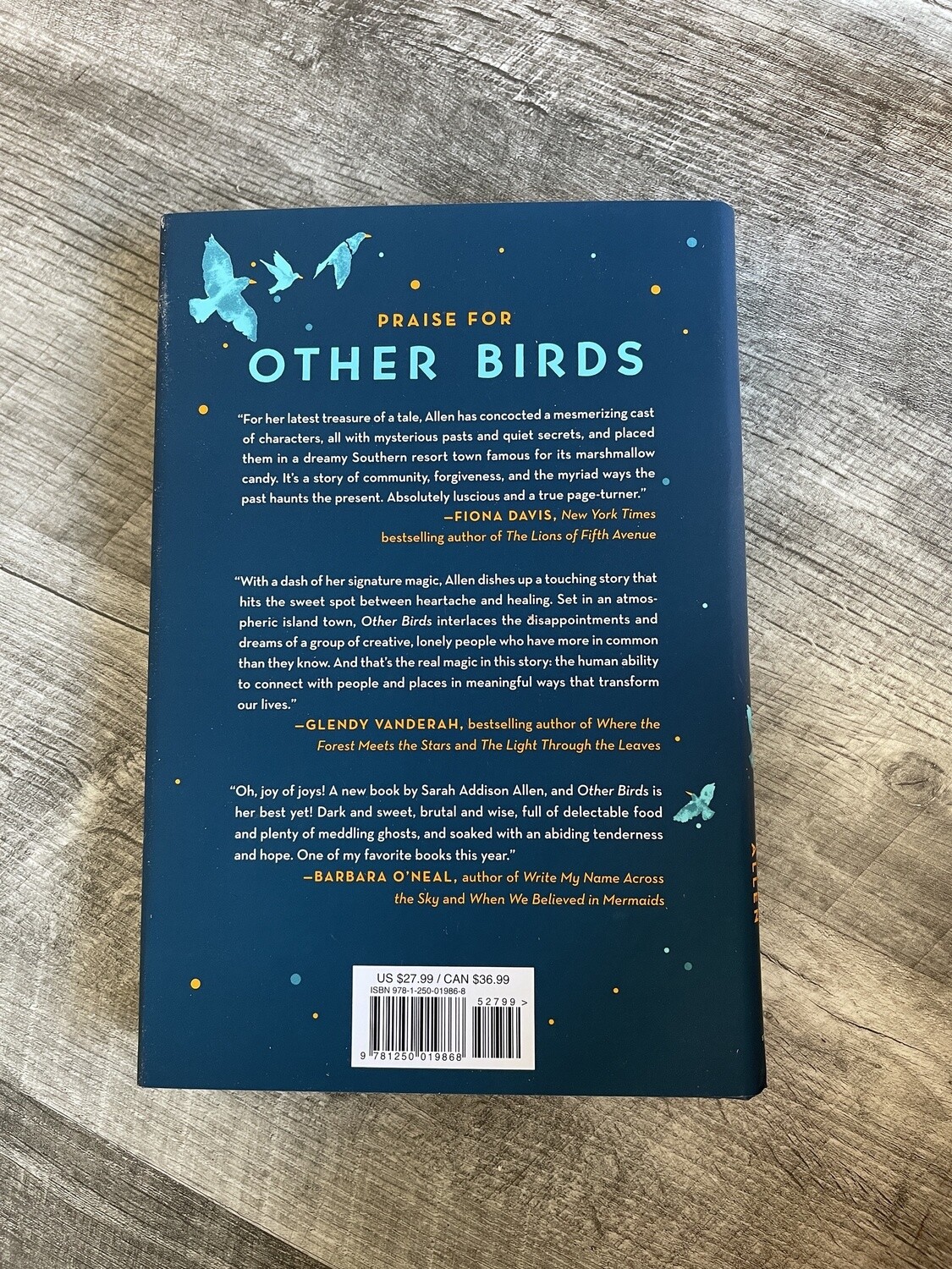 Allen, Sarah- Other Birds
