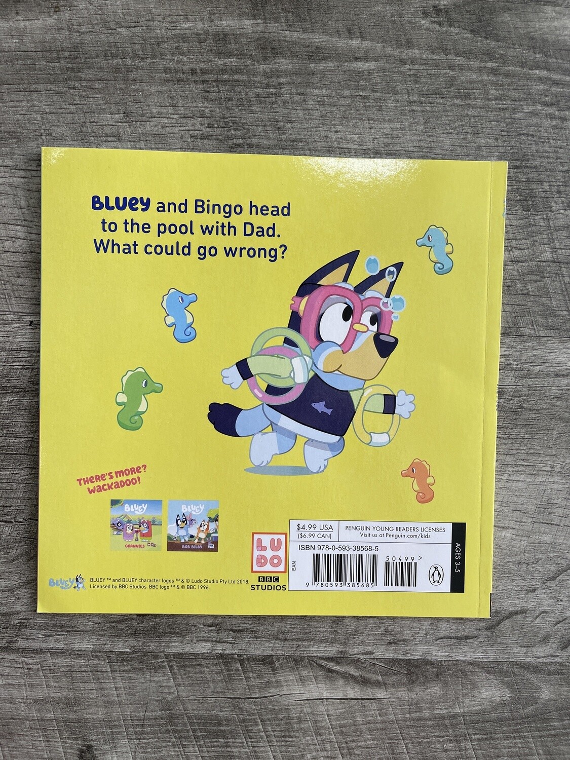Bluey- The Pool