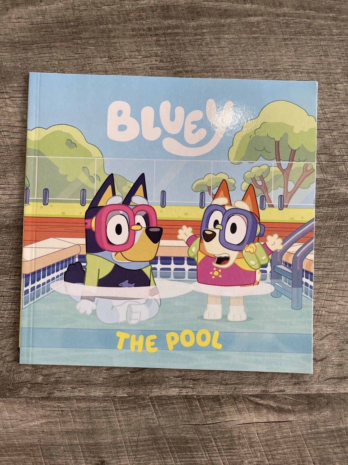 Bluey- The Pool