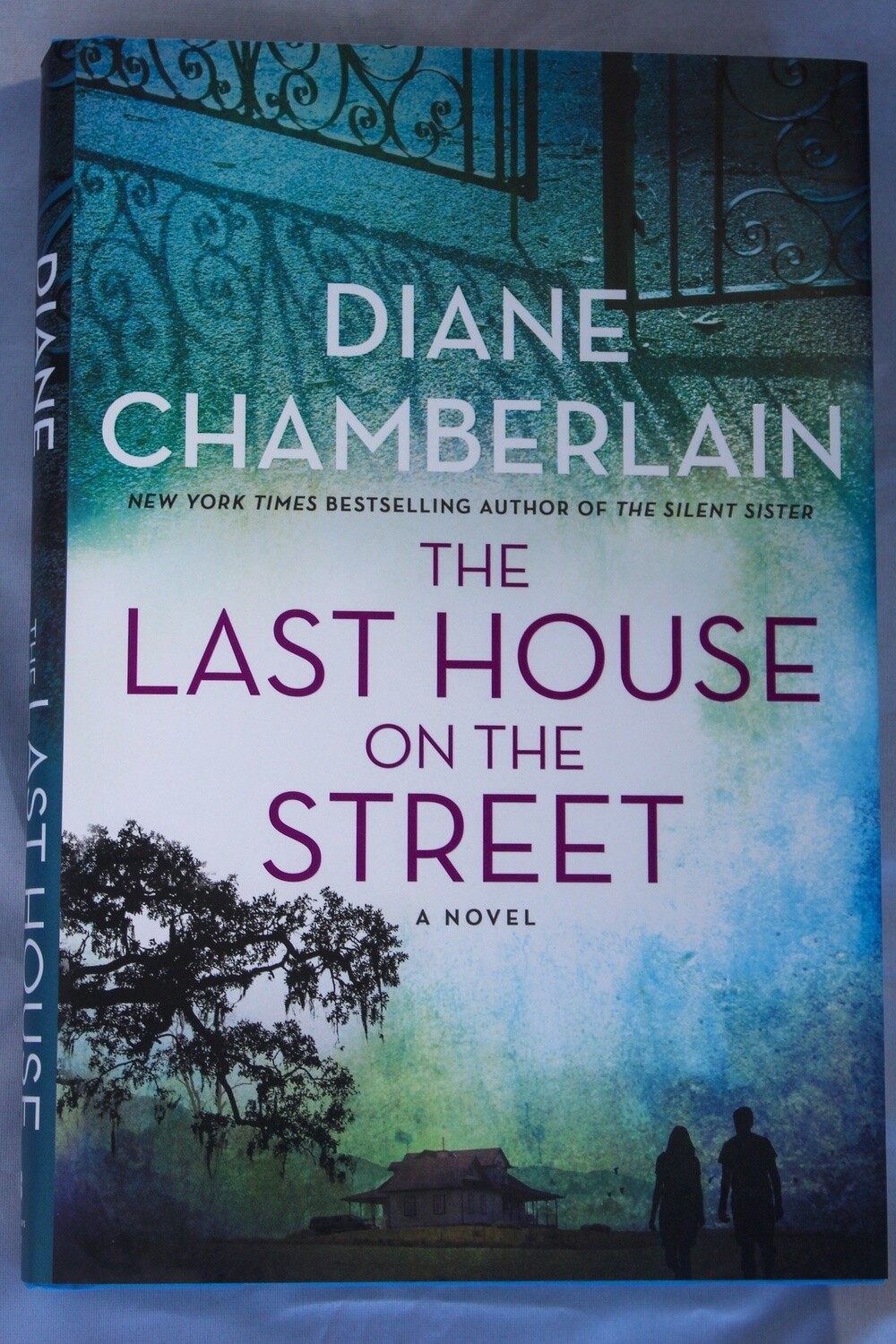 Chamberlain, Diane-The Last House on the Street