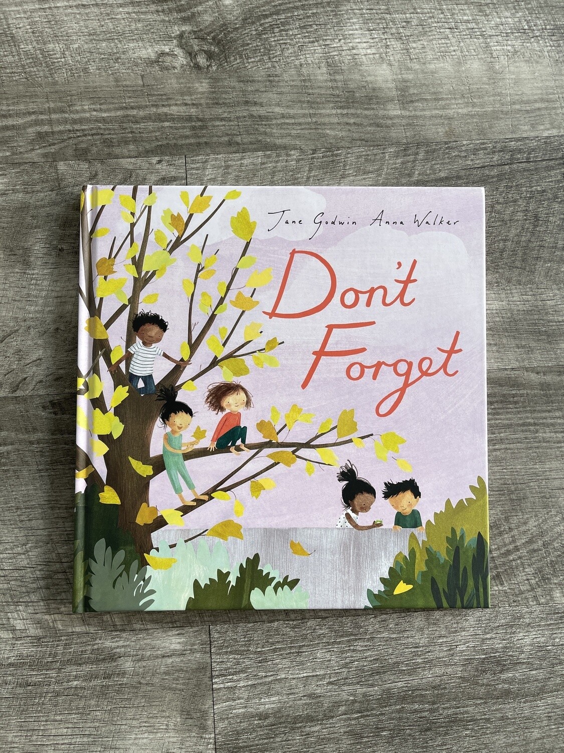 Godwin, Jane-Don&#39;t Forget