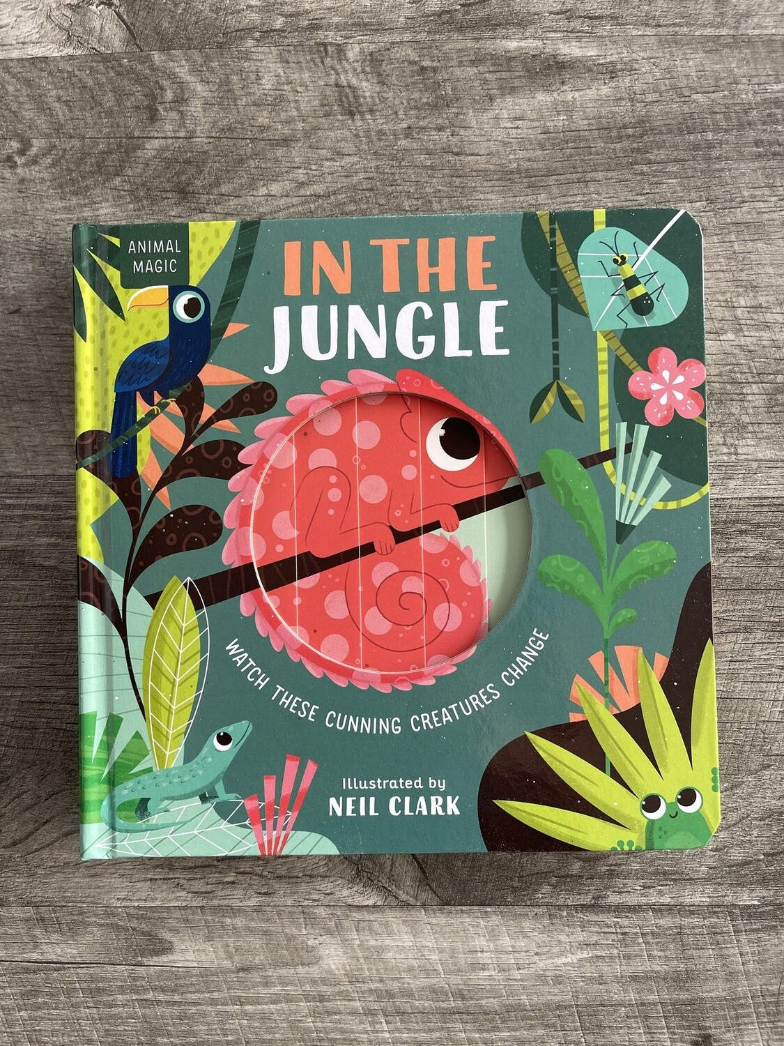 Stone, Harriet-In the Jungle