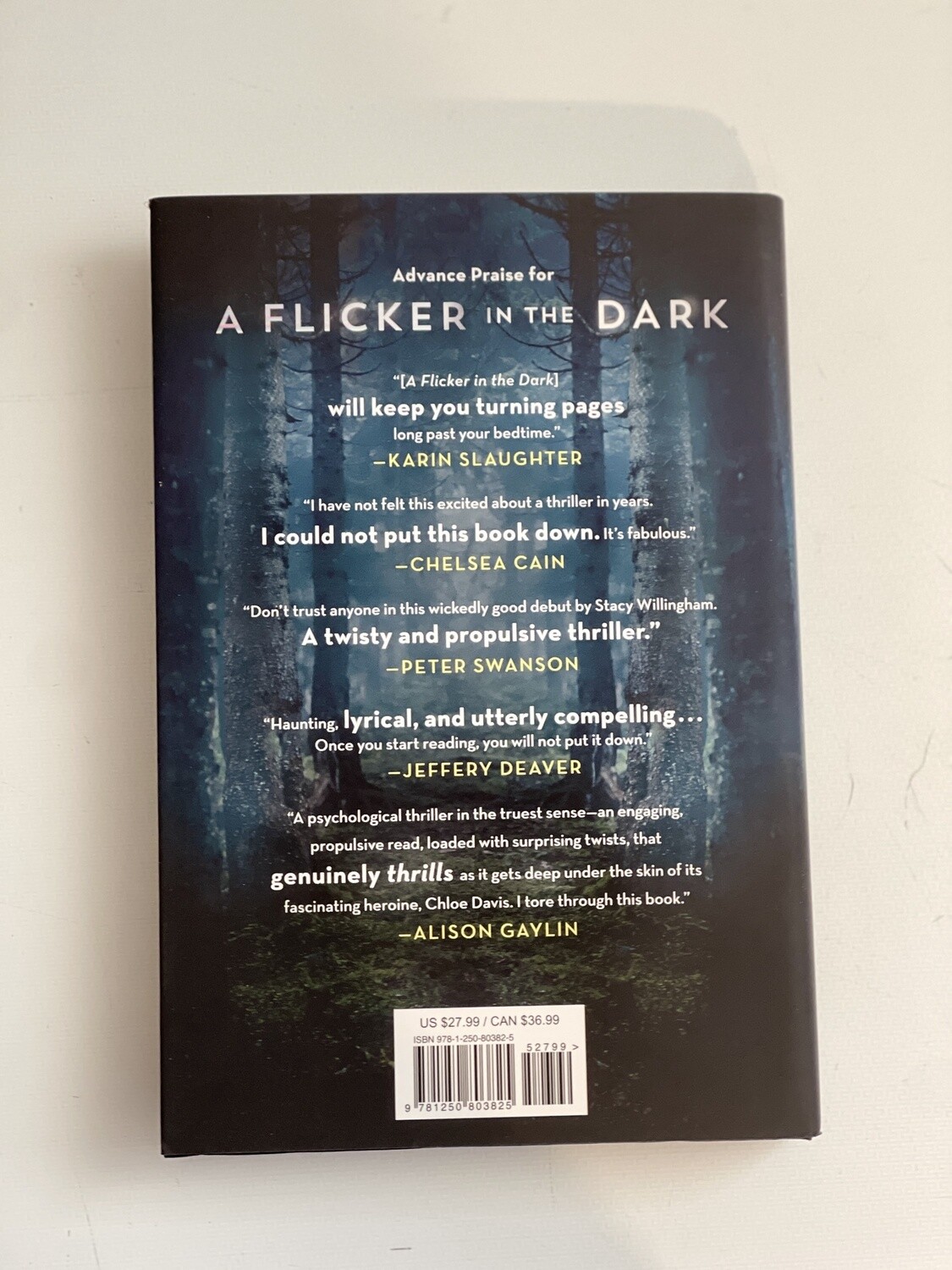 Willingham, Stacy- A Flicker in the Dark