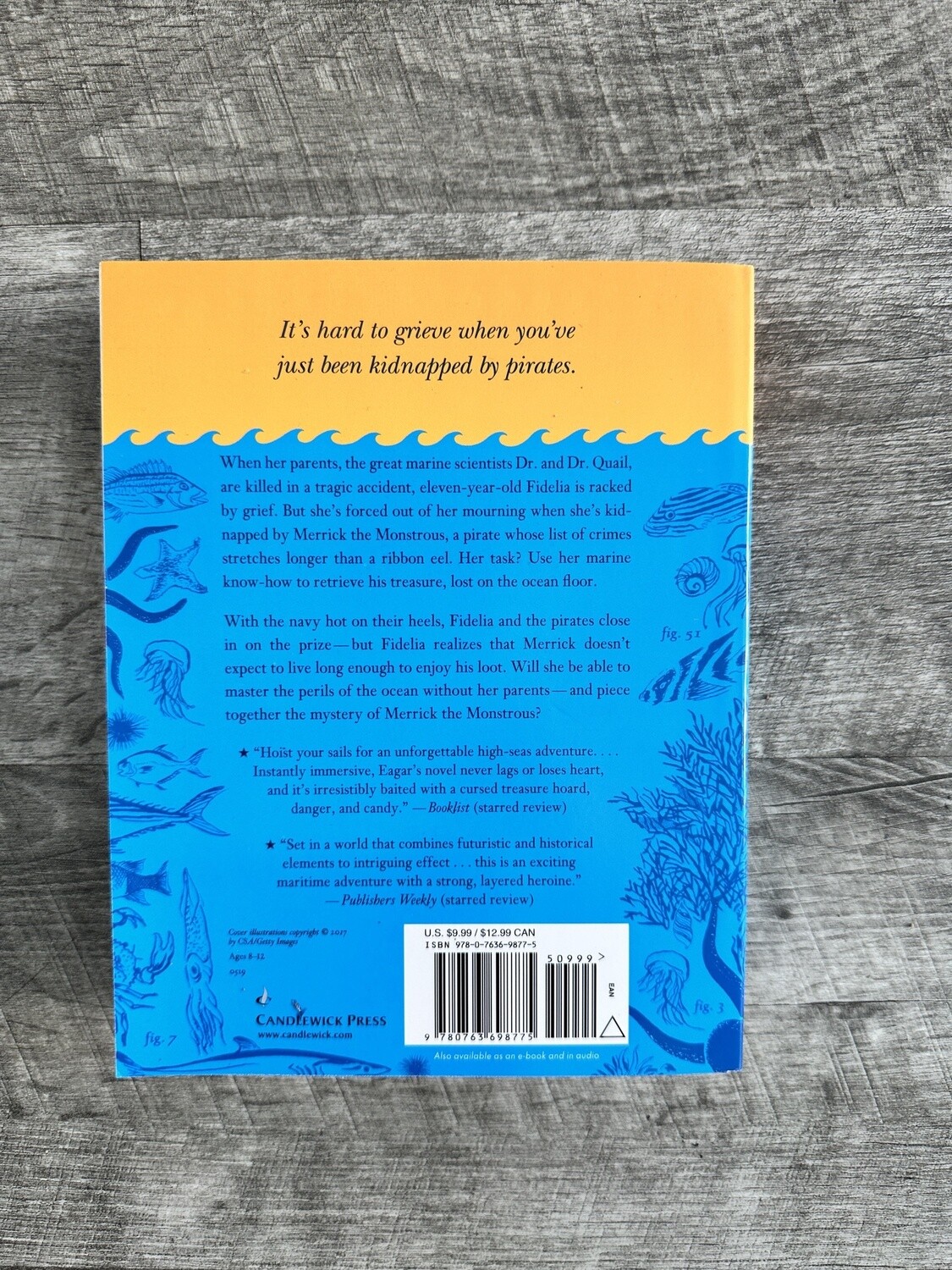 Eagar, Lindsay-Race to the Bottom of the Sea
