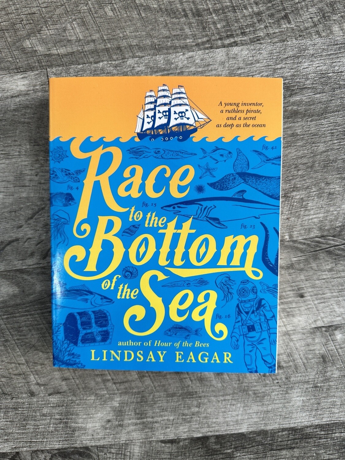 Eagar, Lindsay-Race to the Bottom of the Sea