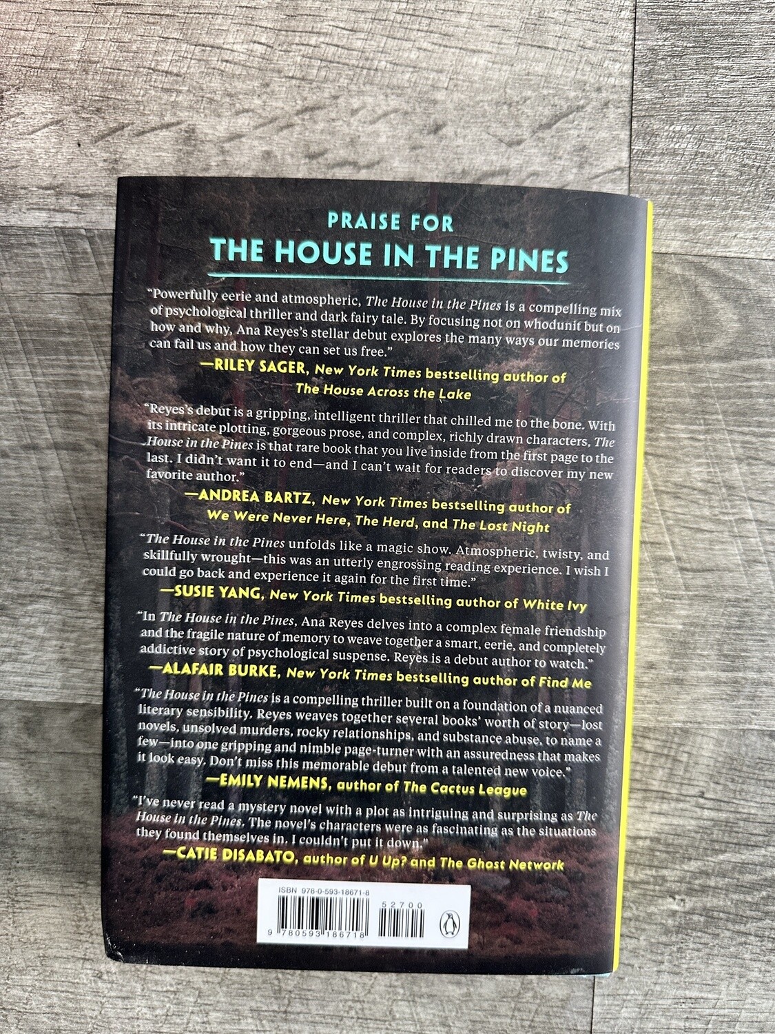Reyes, Ana- The House in the Pines