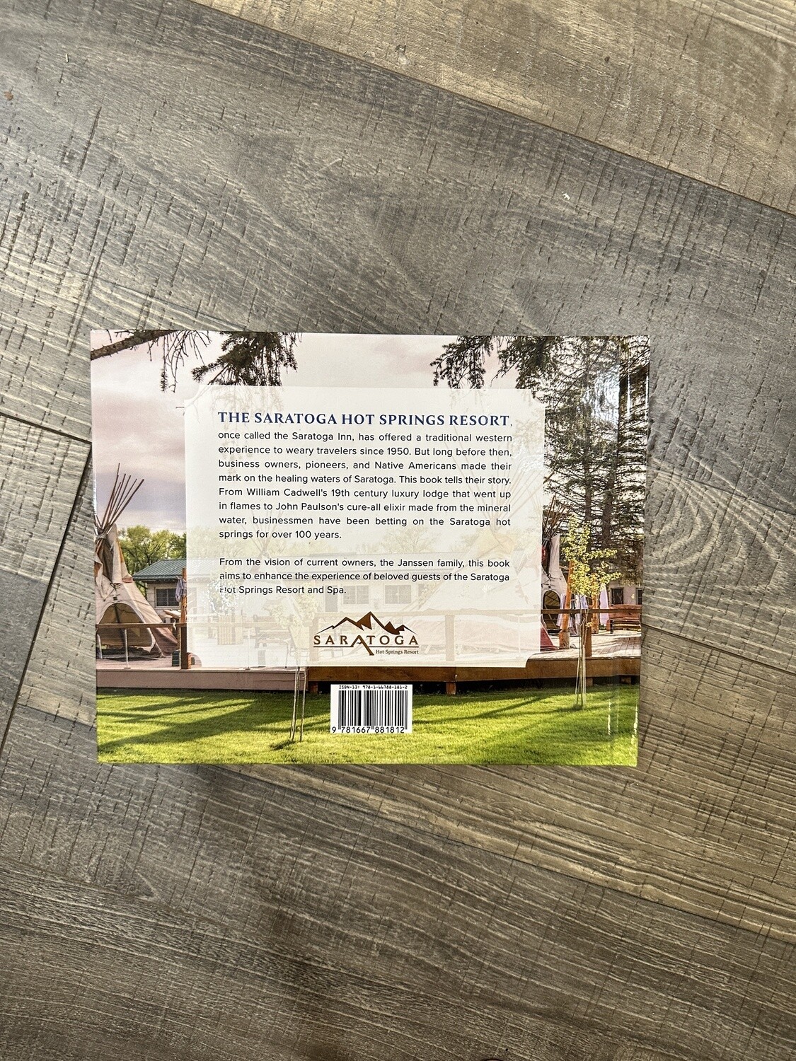 Janssen, Michael E-The Healing Waters of Saratoga