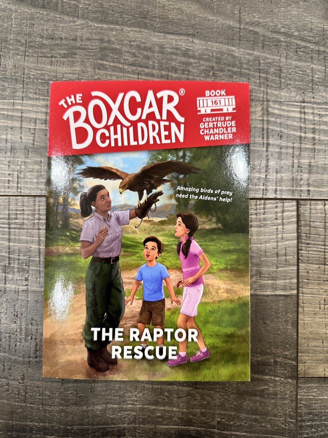 Warner, Gertrude Chandler-The Raptor Rescue