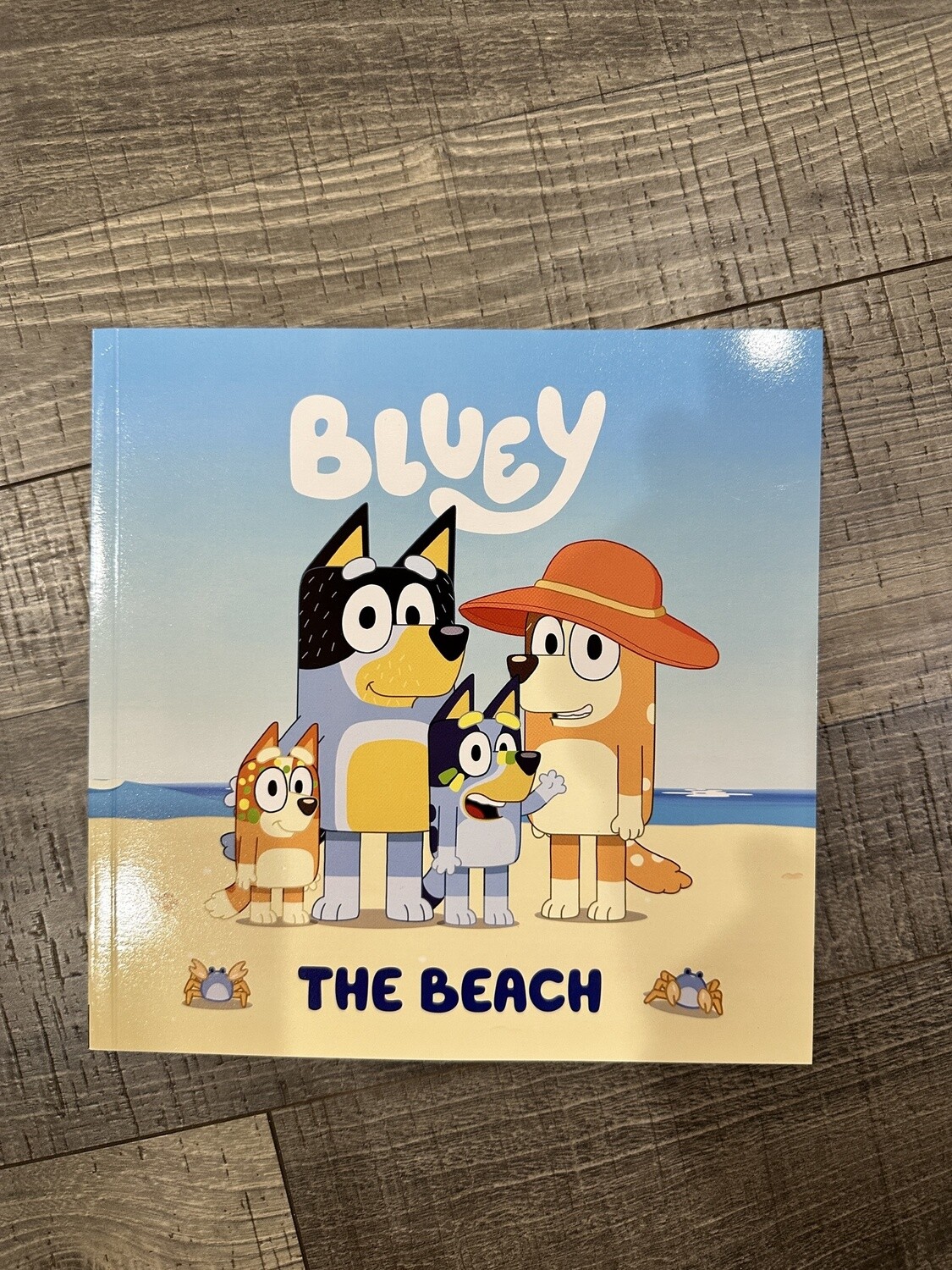 Bluey-The Beach