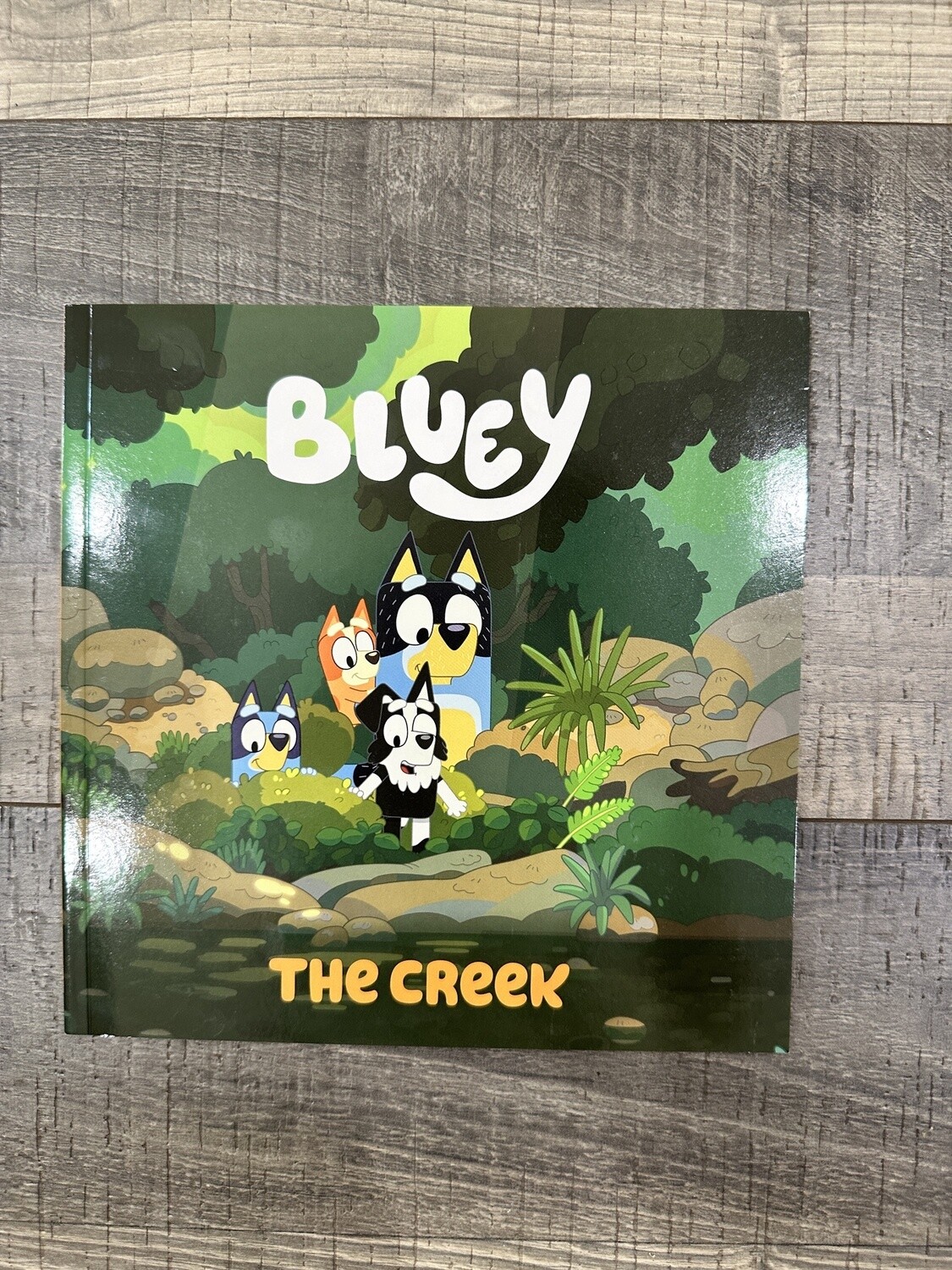 Bluey-The Creek