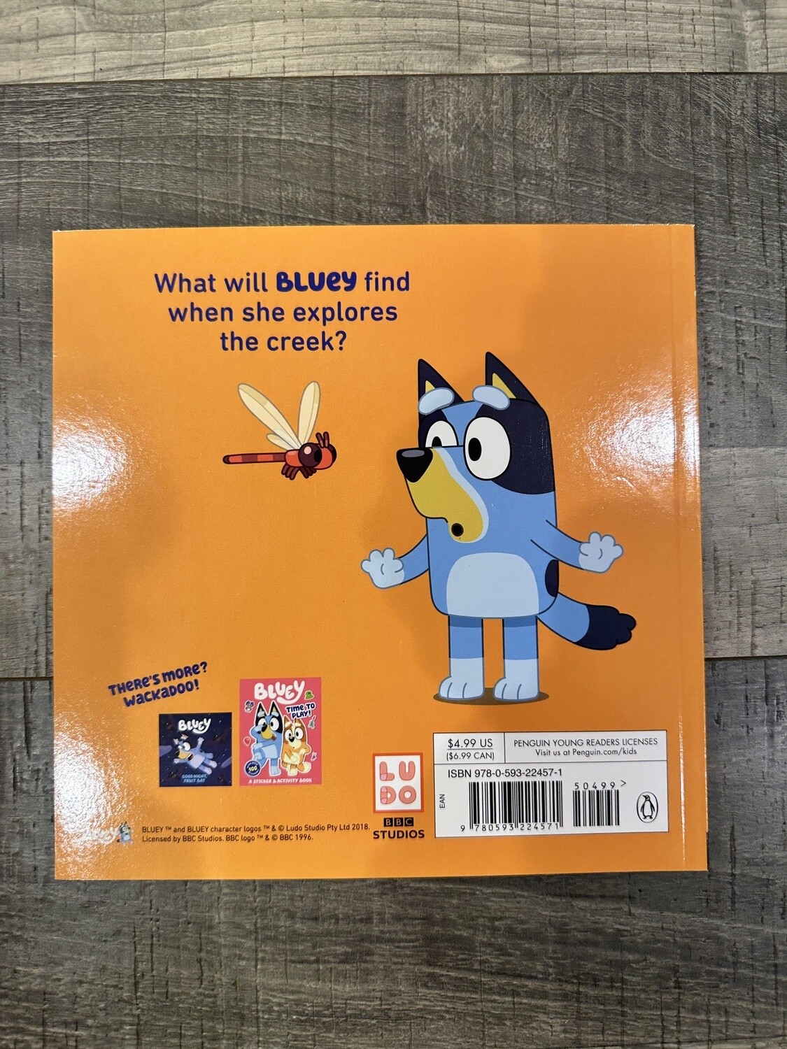 Bluey-The Creek