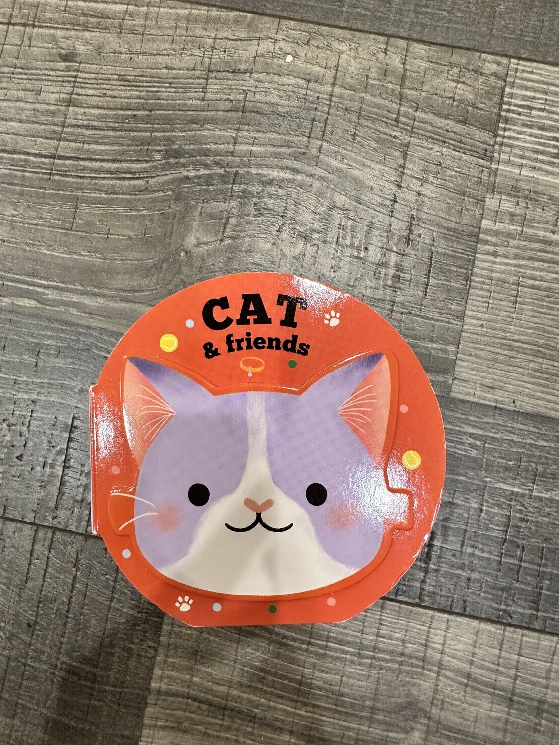 Cat &amp; Friends