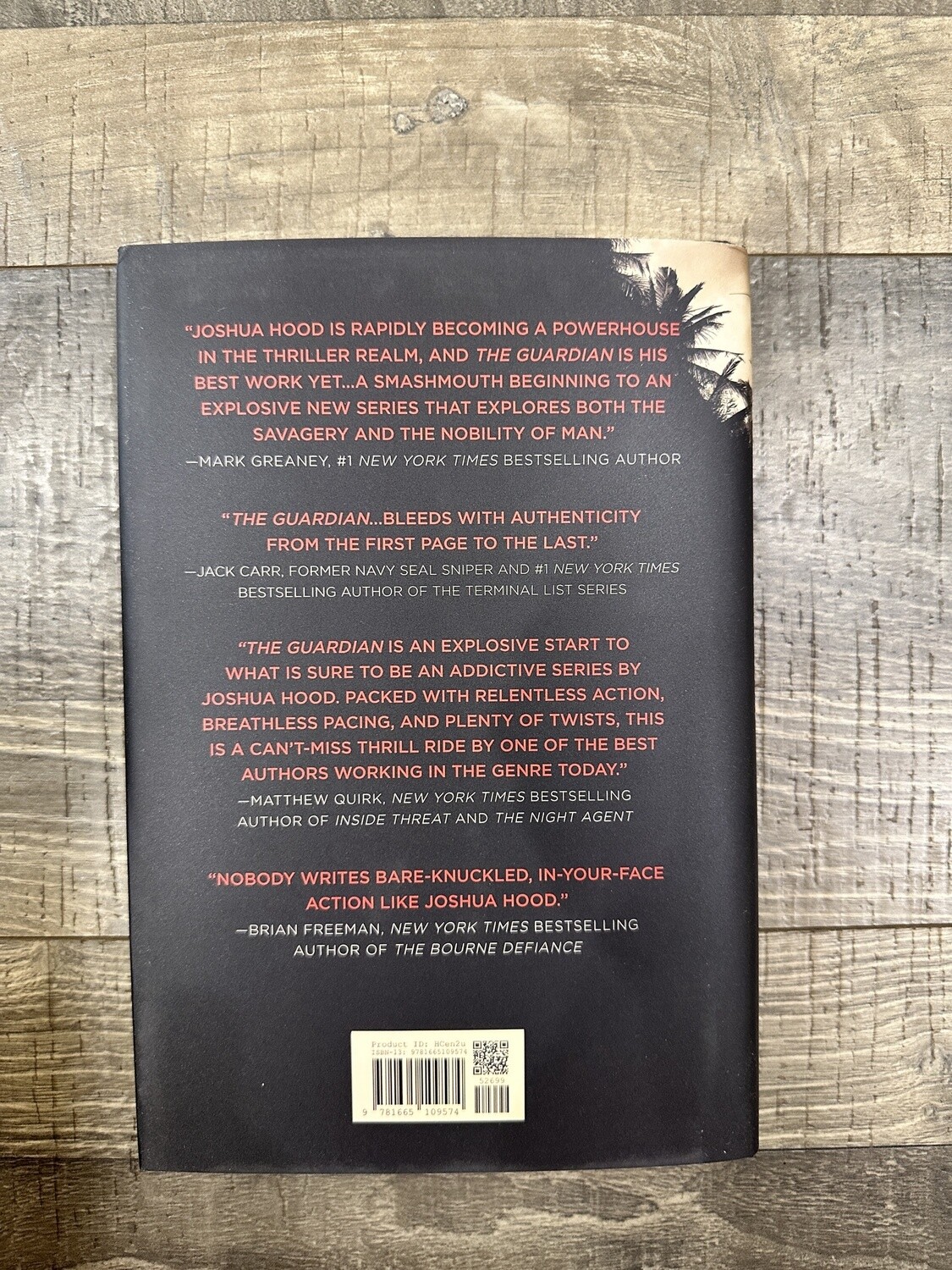 Hood, Joshua-The Guardian