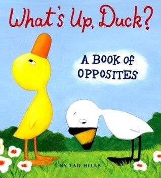 Hills, Tad-What&#39;s Up, Duck?