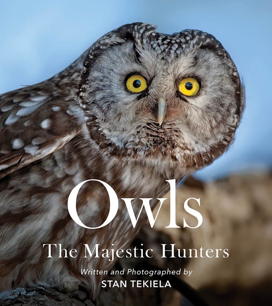 Tekiela, Stan- Owls