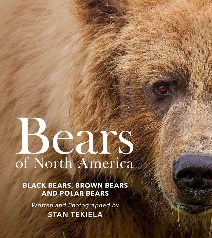 Tekiela, Stan- Bears