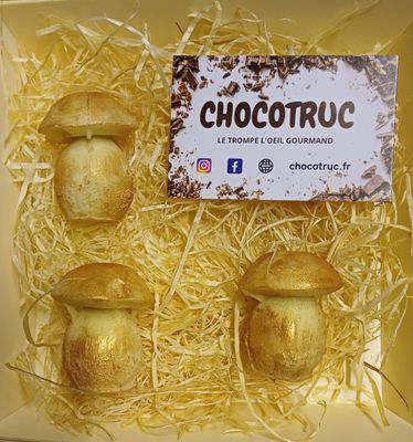 Coffret champignons