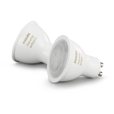 HUE WHITE AMBIENCE X2