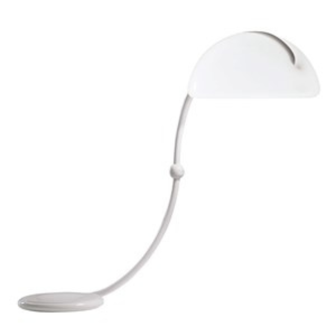 SERPENTE TERRA, COLORE: BIANCO