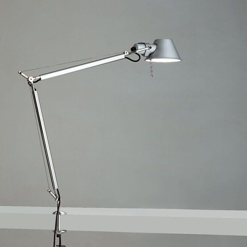 TOLOMEO CON MORSETTO TOLOMEO CON MORSETTO